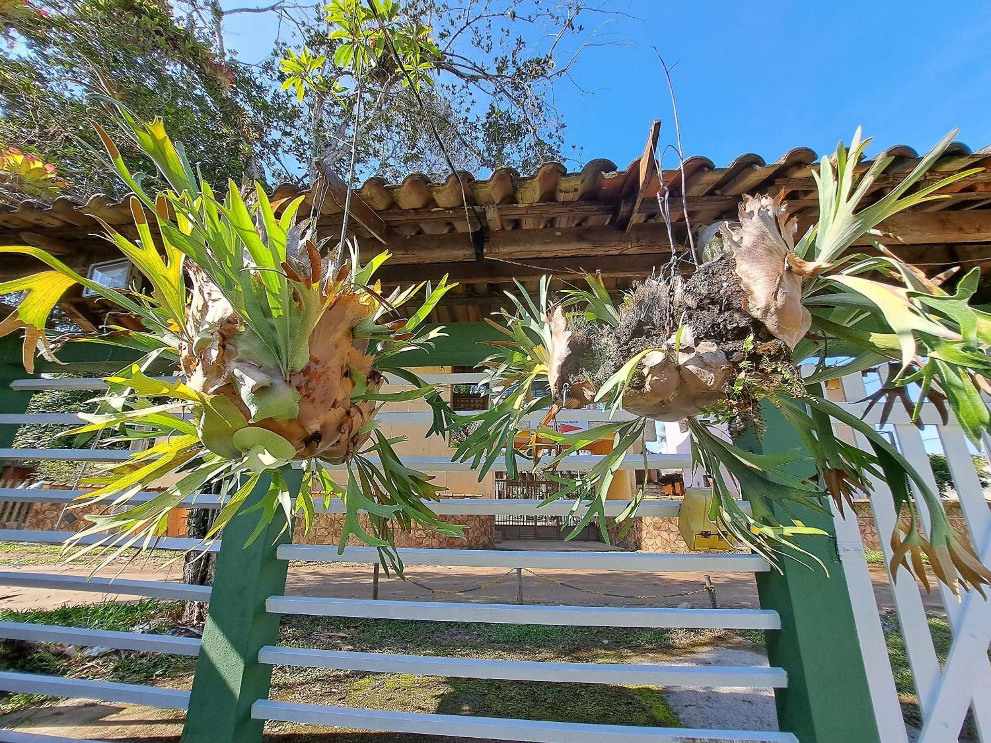 Linda Casa 4 Qts Churrasqueira Prainha Mambucaba Araquari Kültér fotó